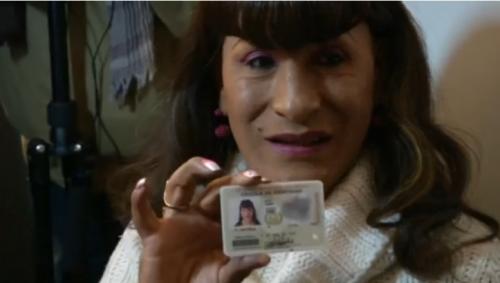 Bolivia trand ID cards