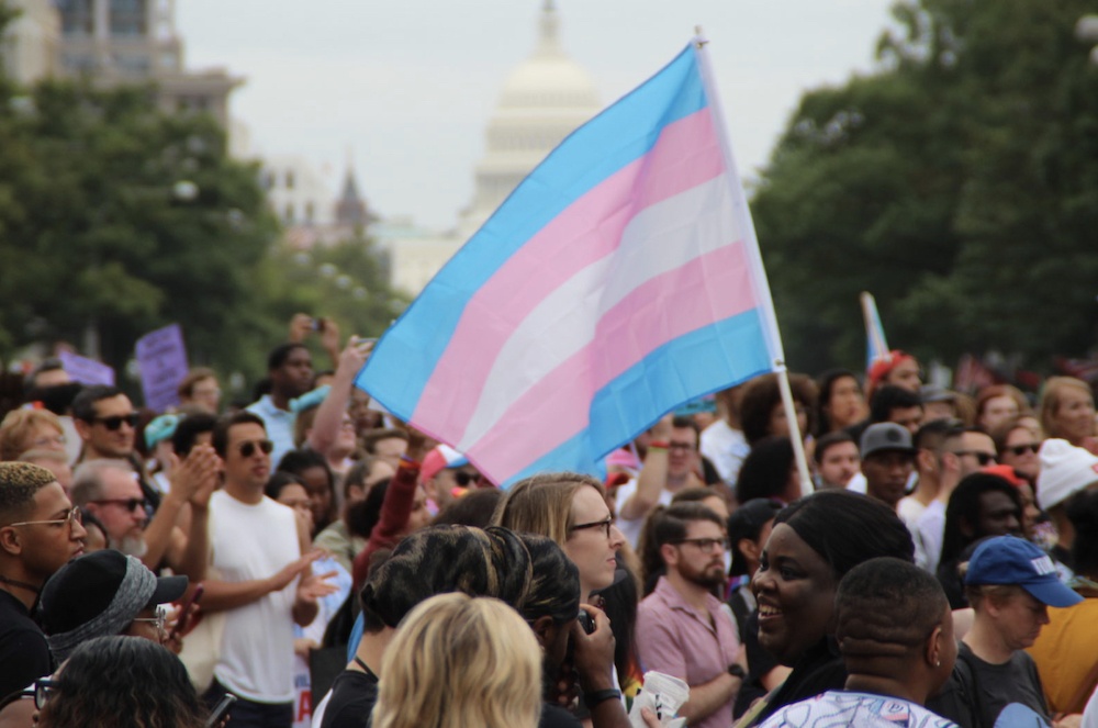 A trans rights march in Washington DC